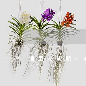 信用卡逾期m4 阶段 信用卡逾期m4 阶段